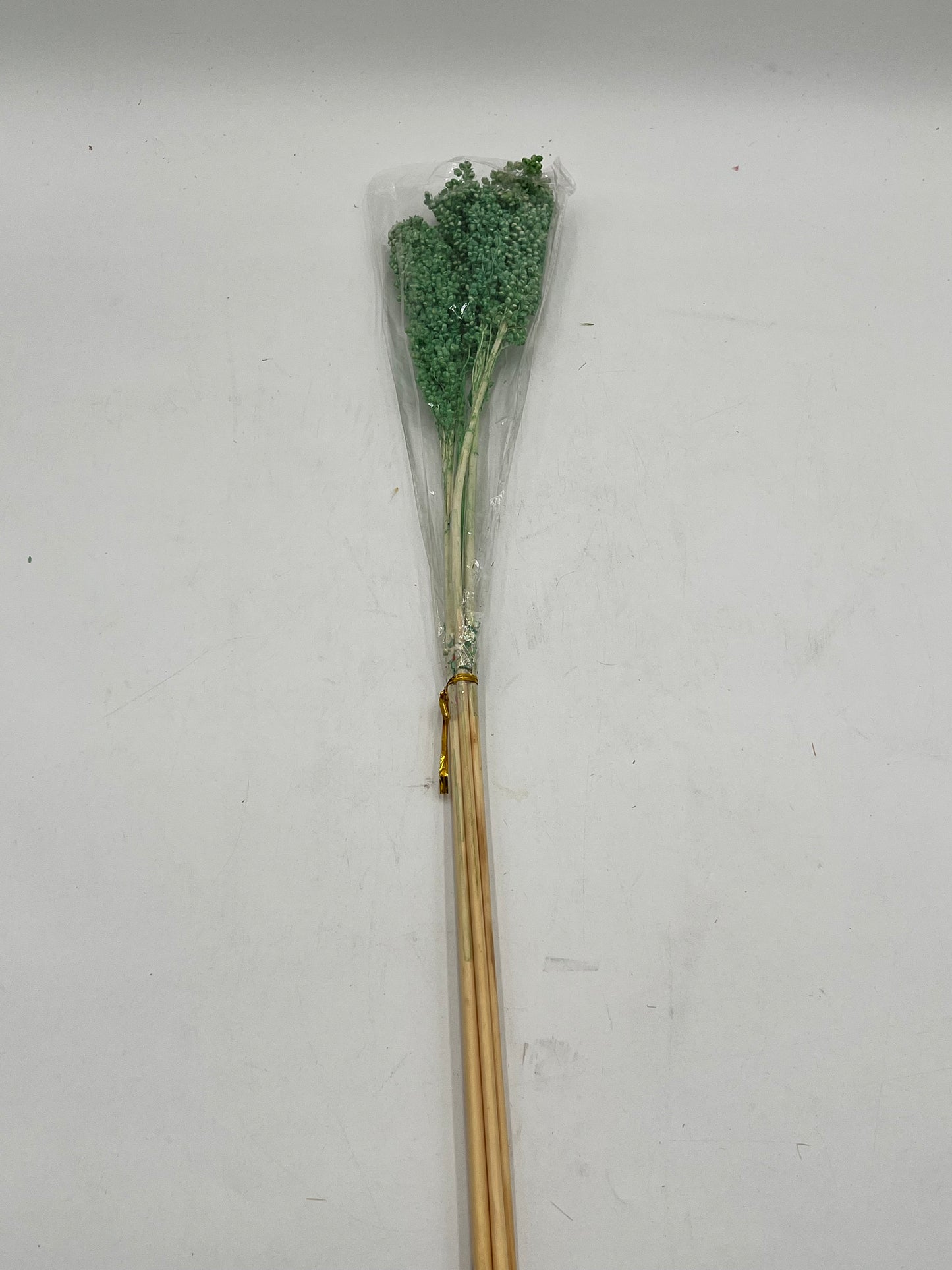 Preserved Sorghum- (Sorgo)