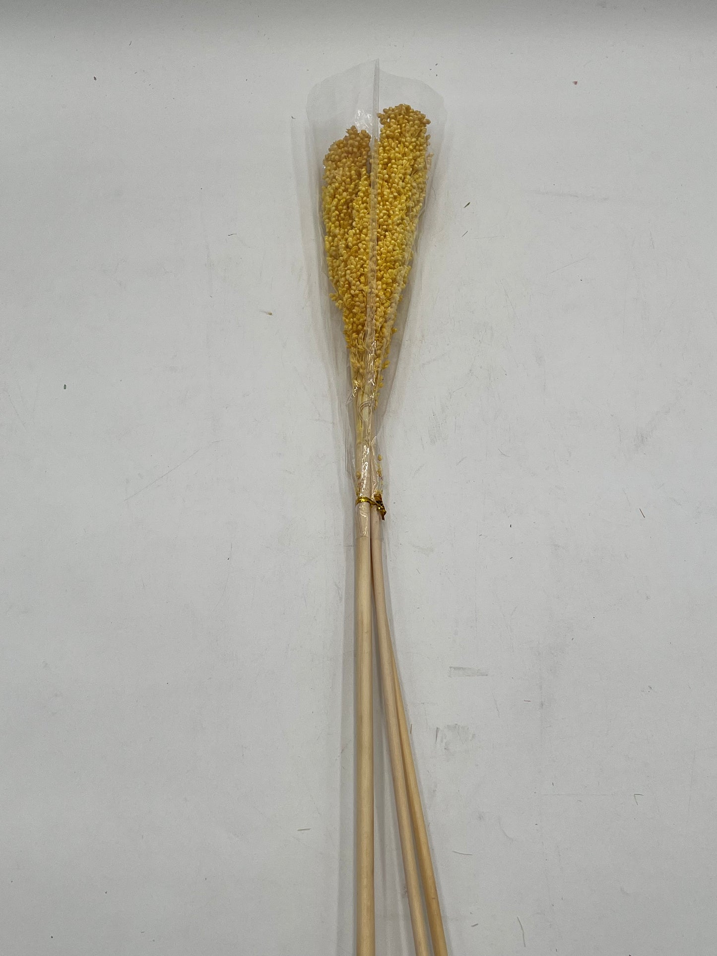Preserved Sorghum- (Sorgo)