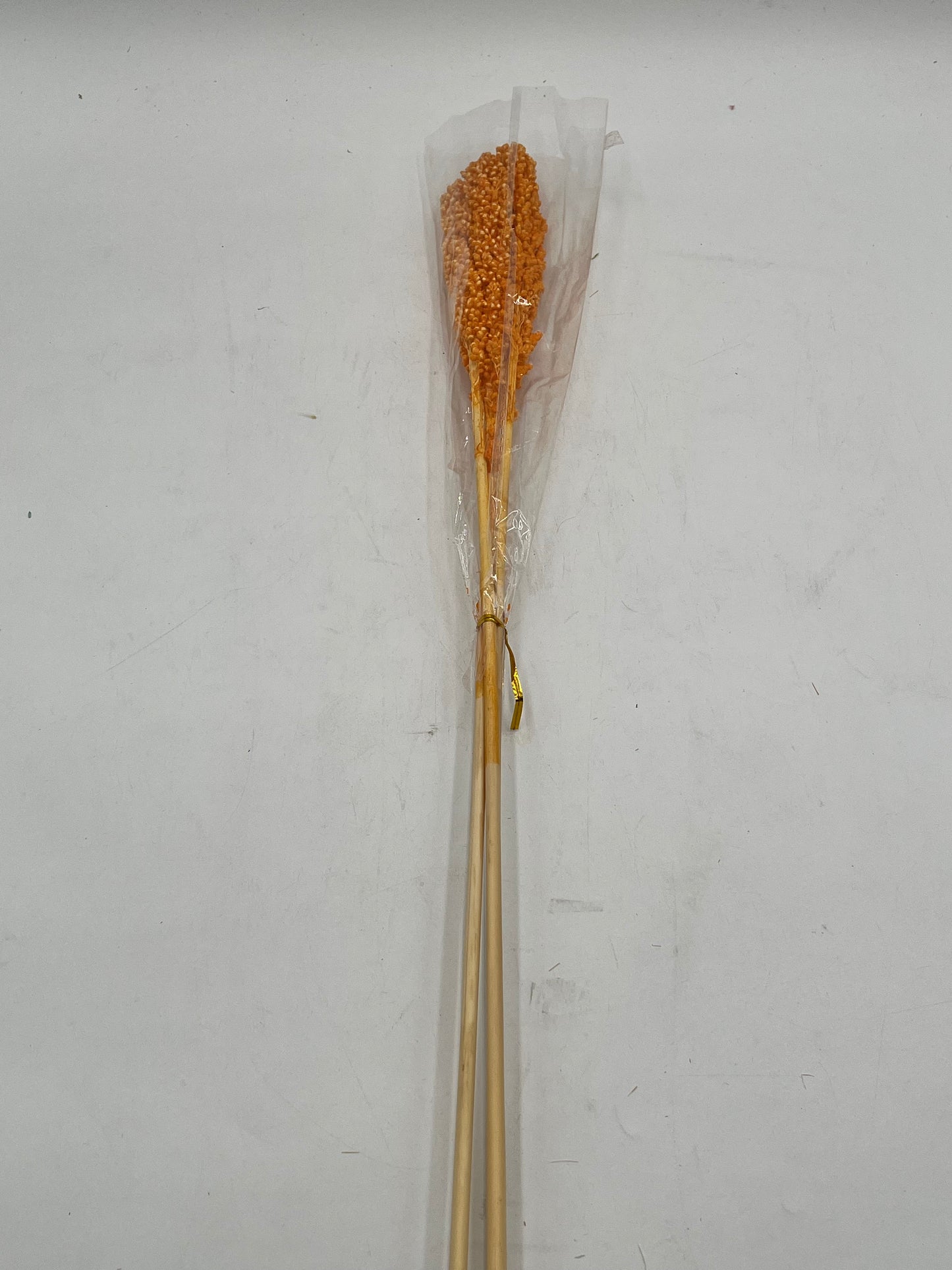 Preserved Sorghum- (Sorgo)