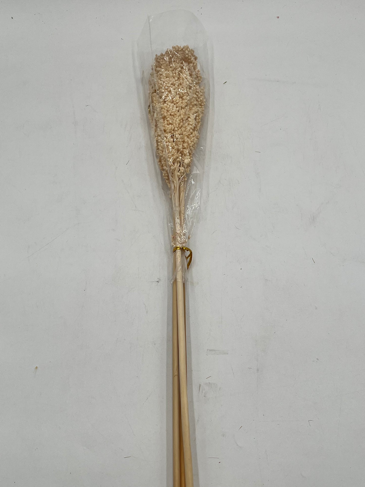 Preserved Sorghum- (Sorgo)