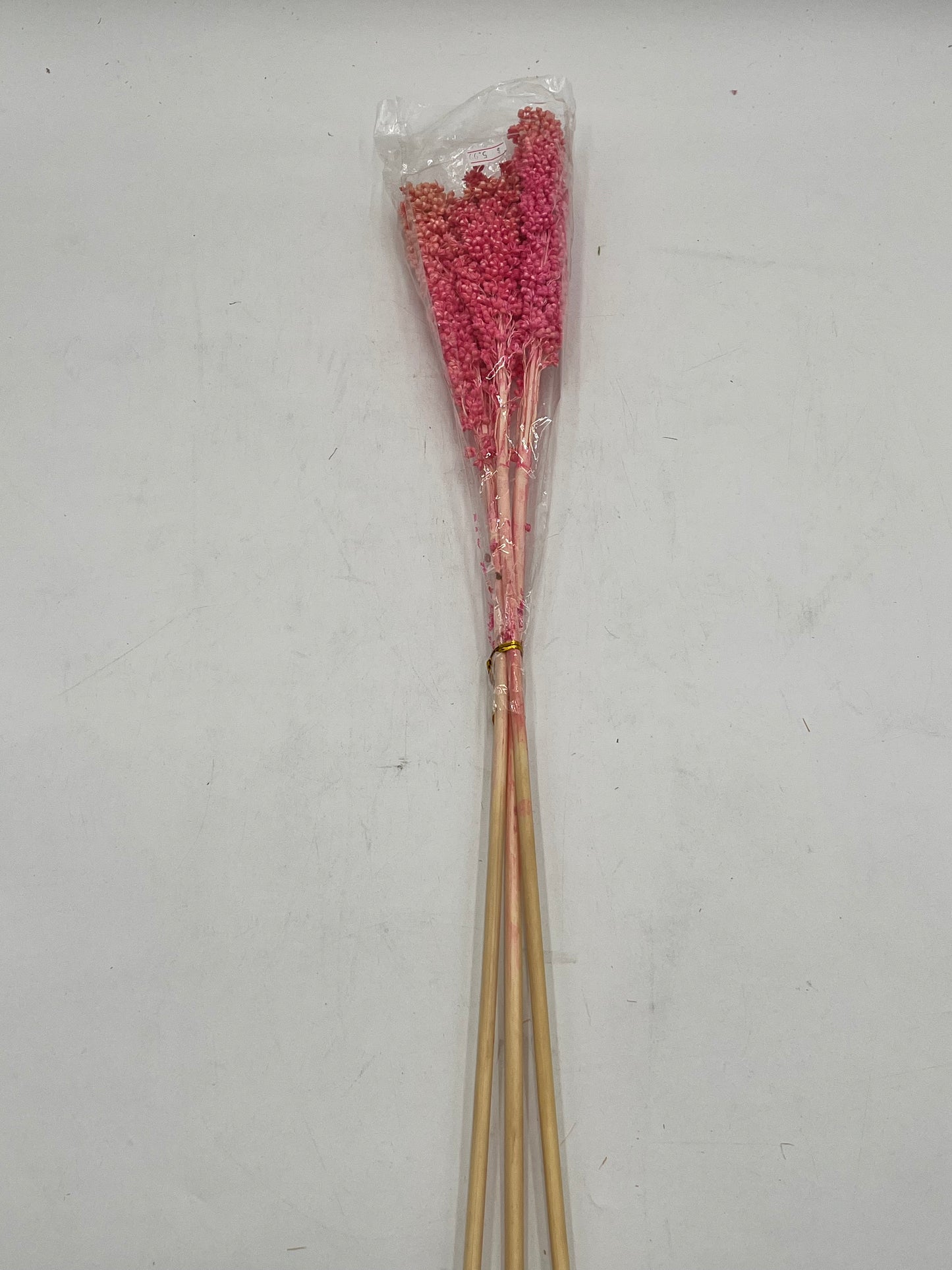 Preserved Sorghum- (Sorgo)