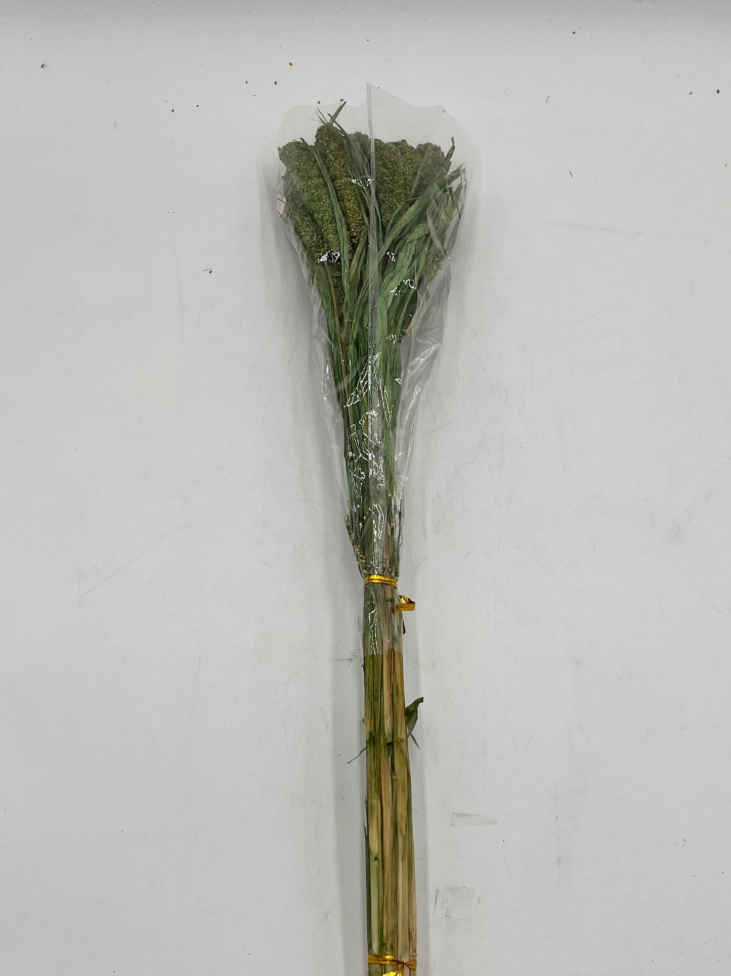 Preserved Millet- (Mijo)