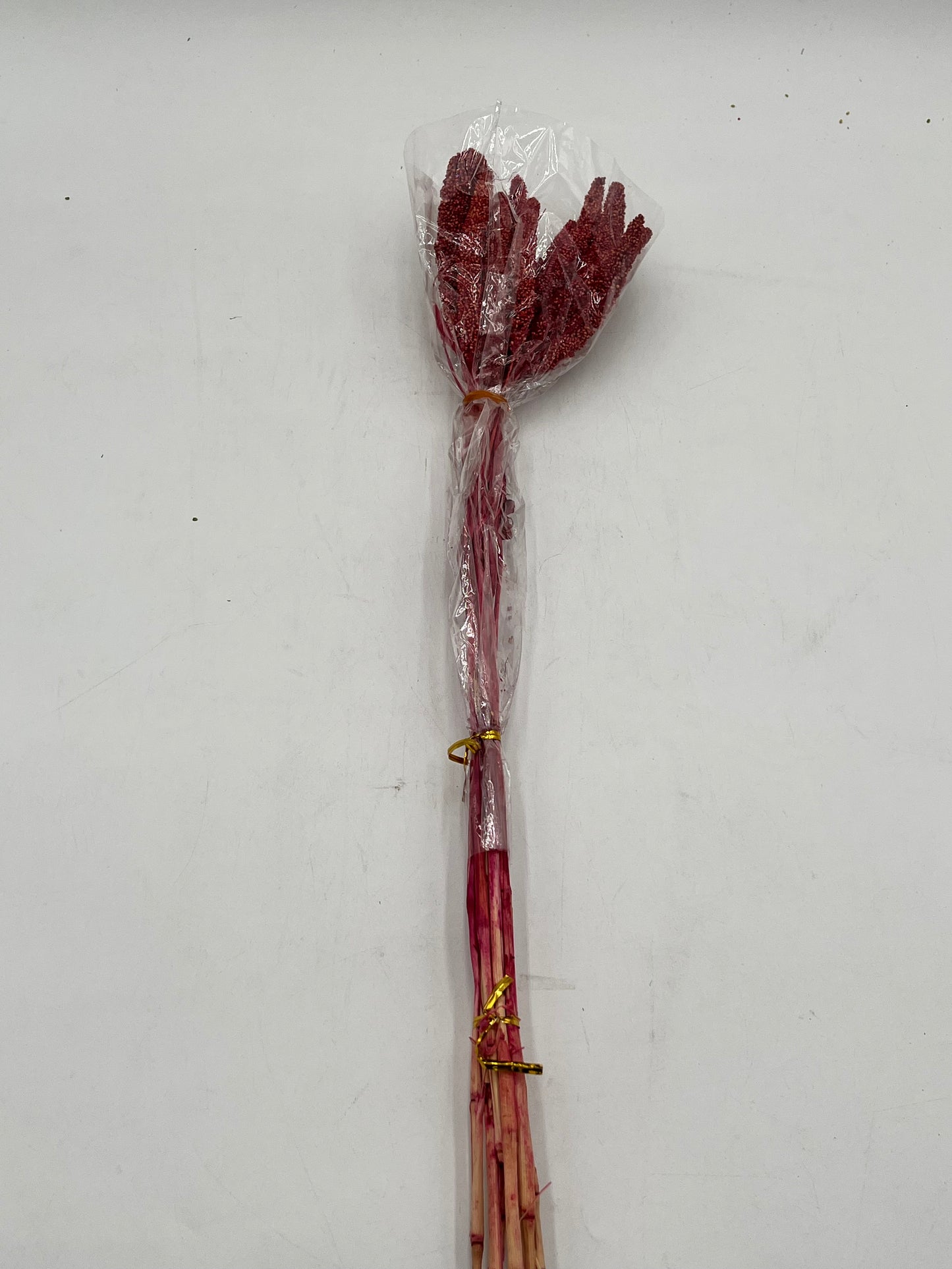 Preserved Millet- (Mijo)