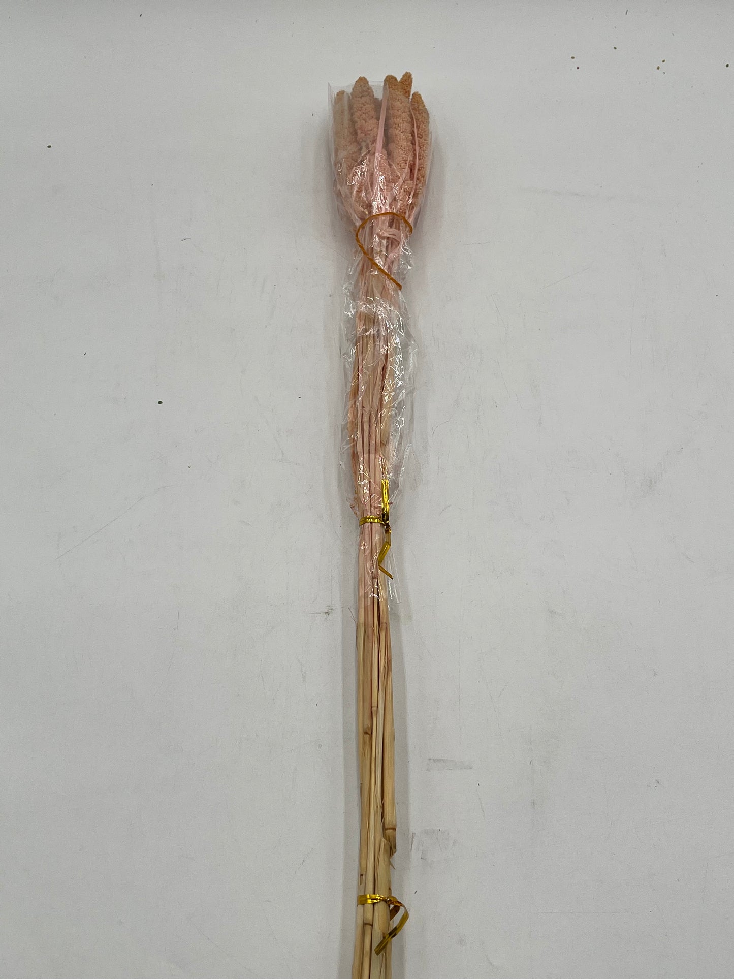 Preserved Millet- (Mijo)