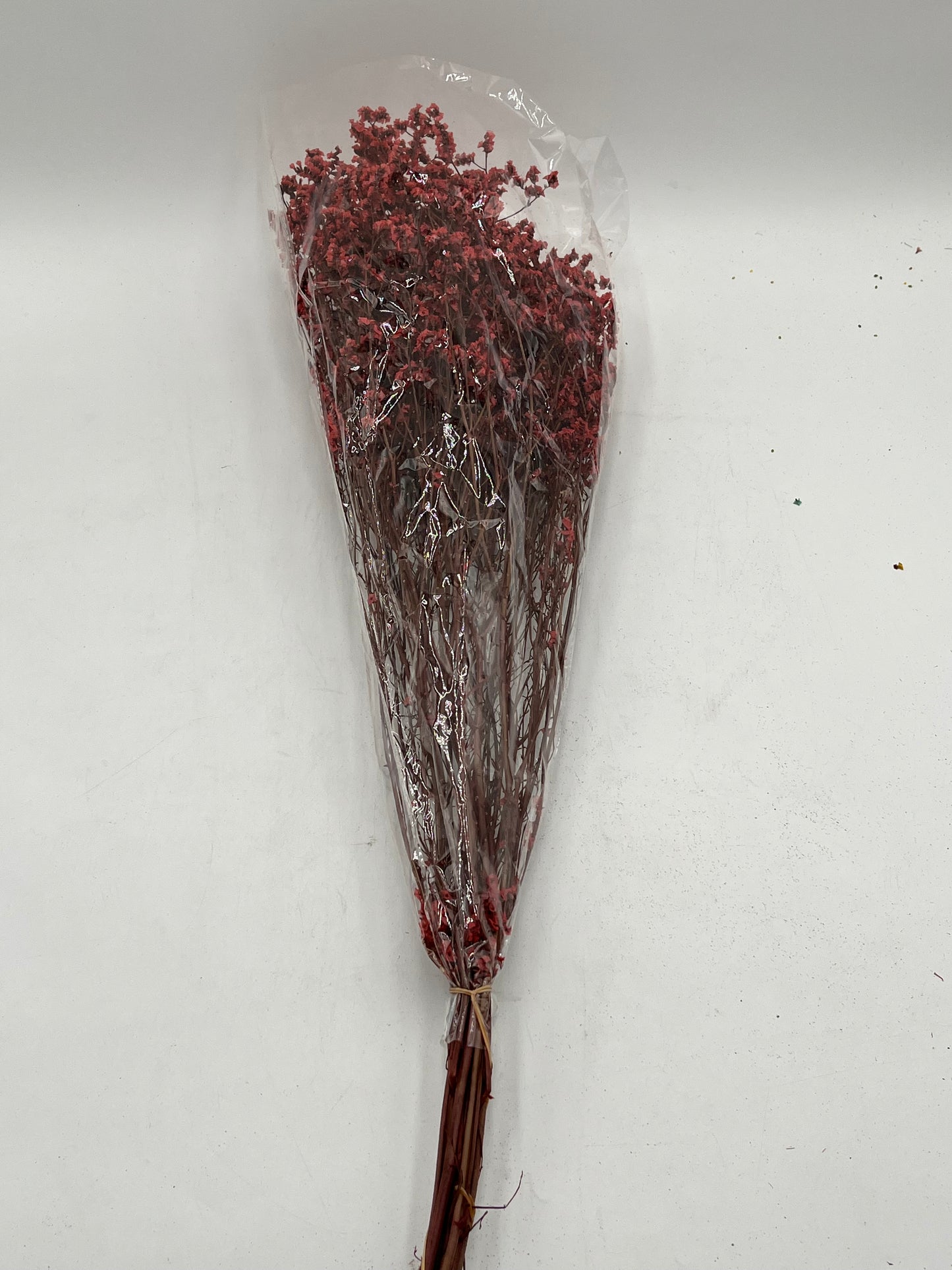 Preserved Babys Breath- (Gisófila)