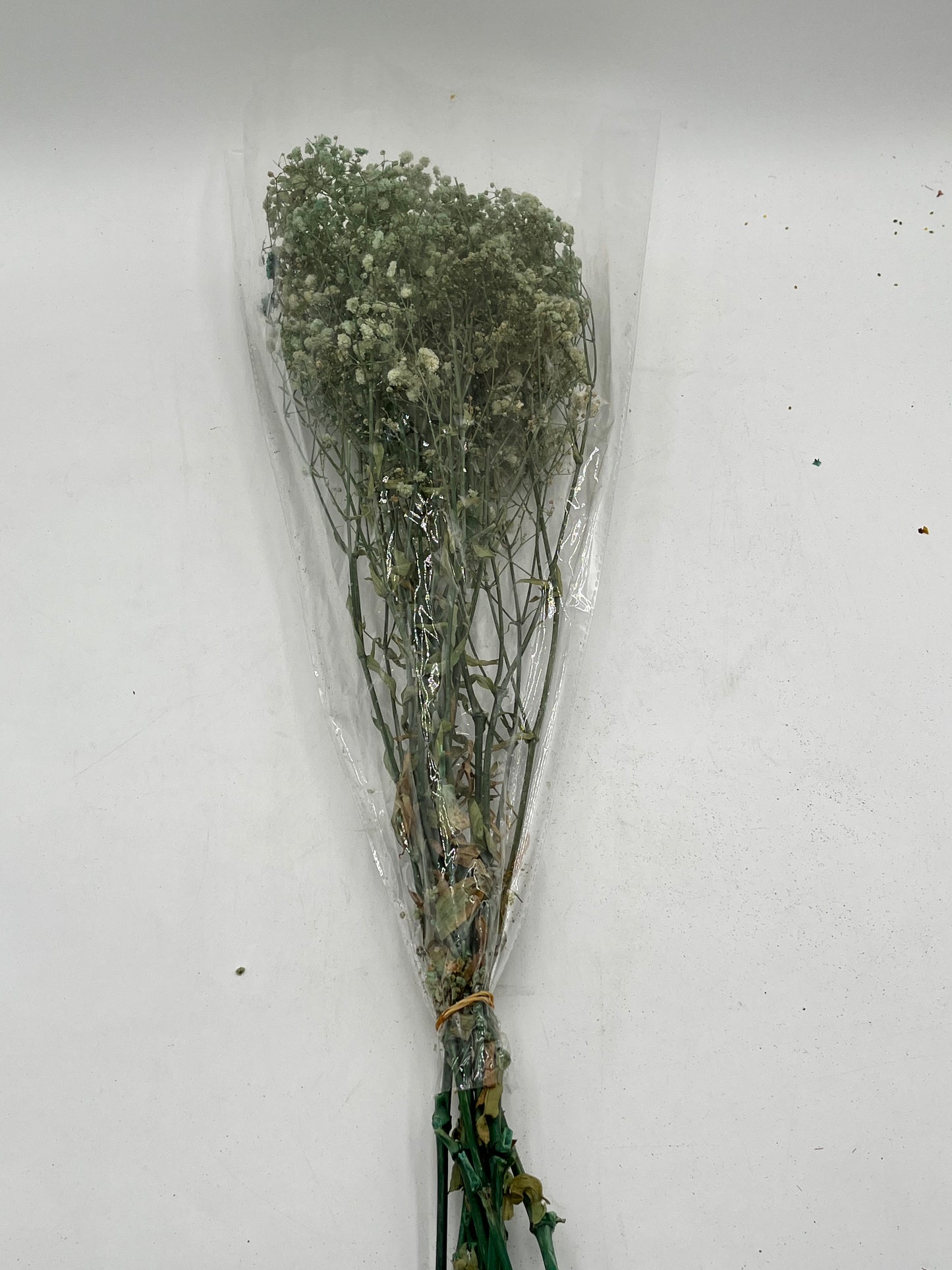 Preserved Babys Breath- (Gisófila)