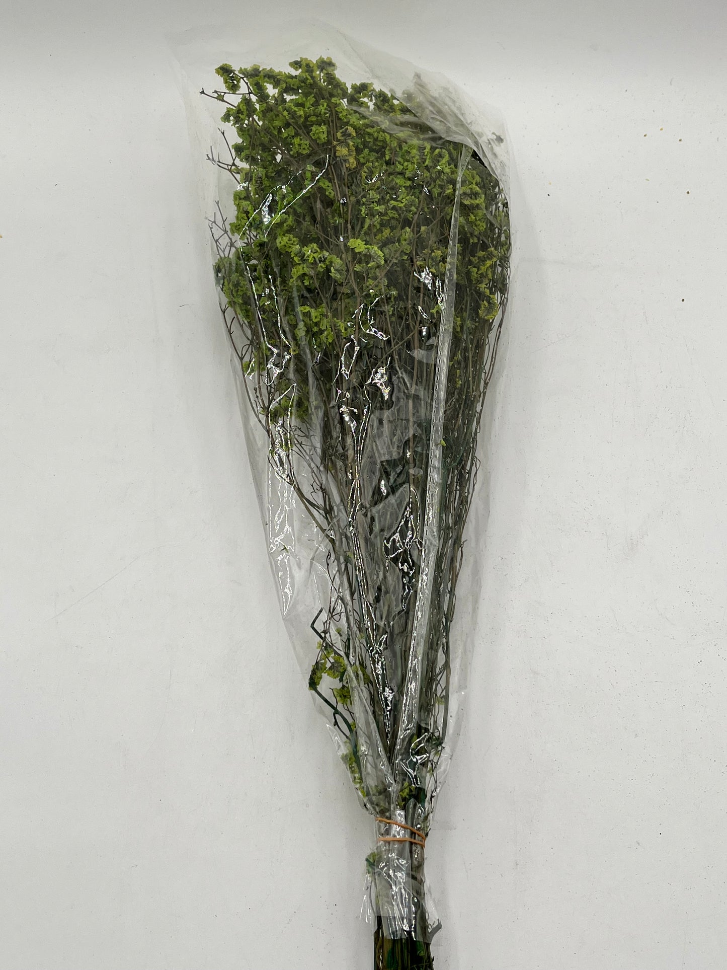Preserved Babys Breath- (Gisófila)