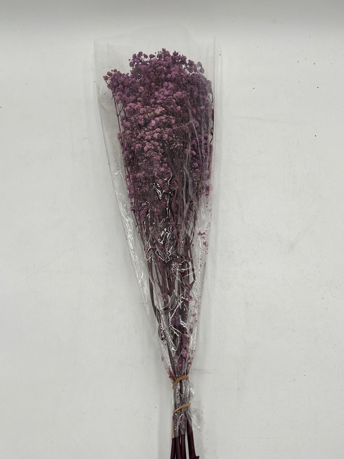 Preserved Babys Breath- (Gisófila)