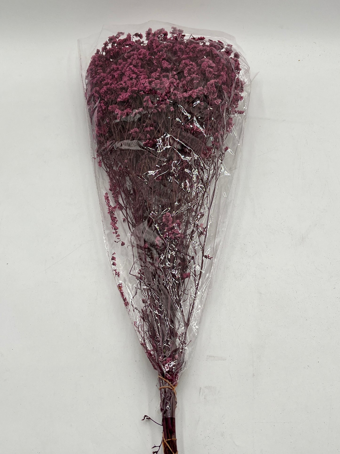 Preserved Babys Breath- (Gisófila)