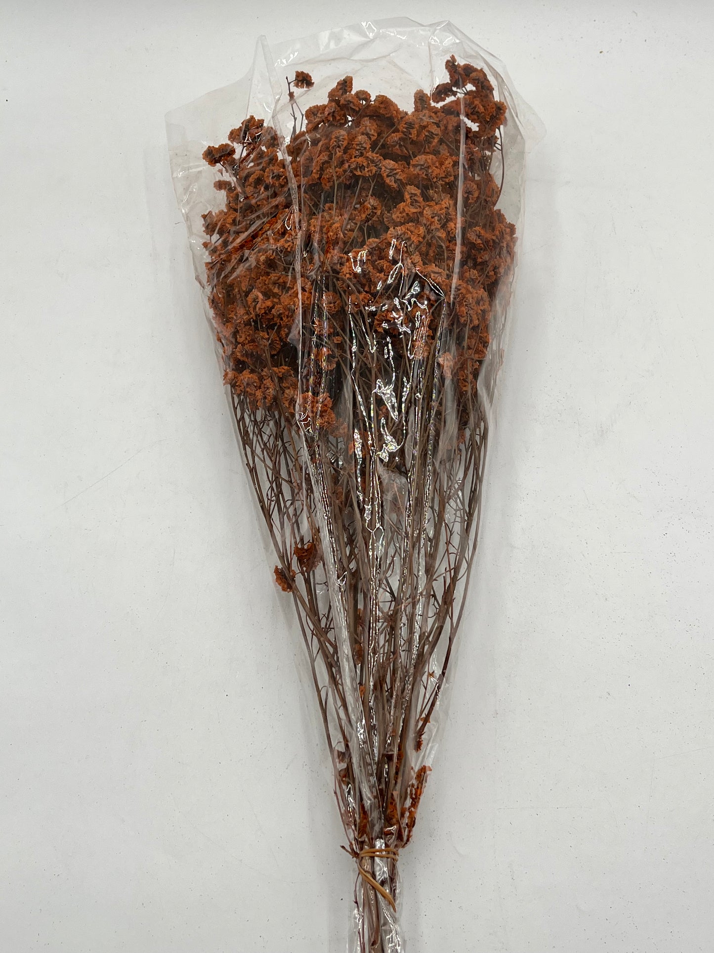 Preserved Babys Breath- (Gisófila)