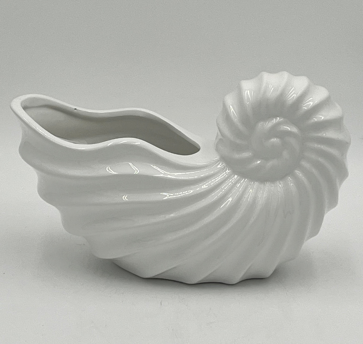 Shellhaven ceramic nautilus vases in glossy white, 5" x 5.5 Op, 1.5 lbs , available from floralsuppliespoint1.com . Ideal for compact floral arrangements with a touch of seaside elegance.