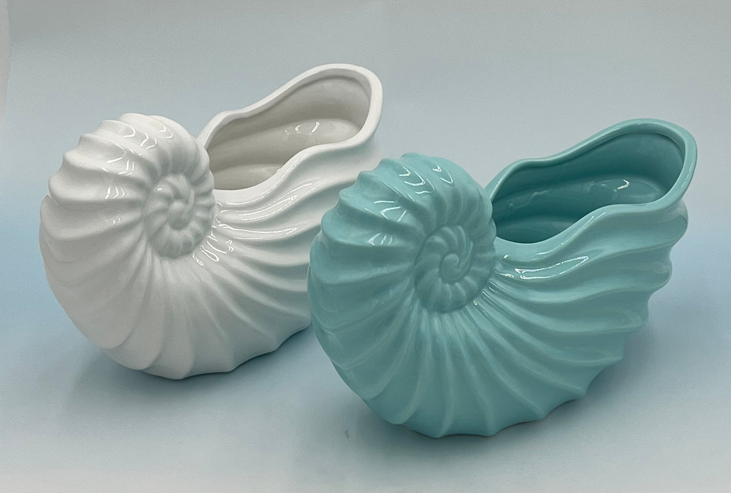 Shellhaven ceramic nautilus vases in glossy white and soft aqua, 5" x 5.5 Op, 1.5 lbs , available from floralsuppliespoint1.com. Ideal for compact floral arrangements with a touch of seaside elegance.